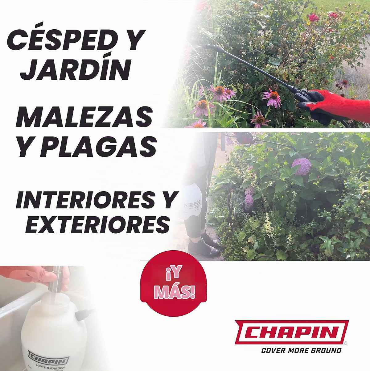 Chapin International 16109 - Pulverizador de bomba de césped y jardín, 1 galón, fabricado en los Estados Unidos, para rociar malezas, insectos, fertilizantes, paquete de 2, blanco translúcido