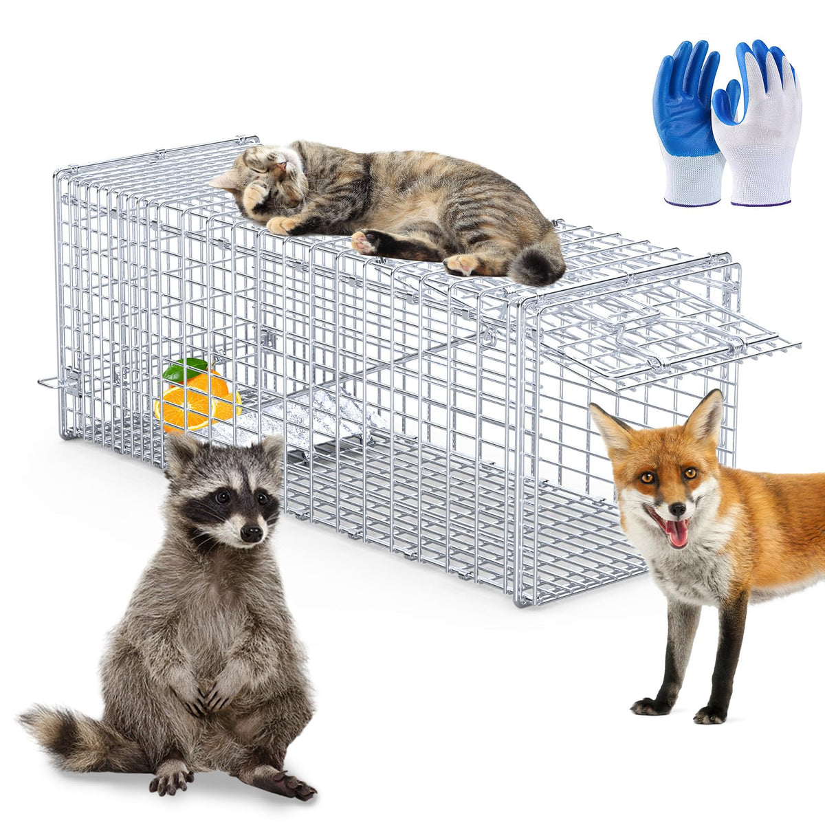 Humane Animal Trap, 40"x12"x13" Foldable Live Animal Cage Traps