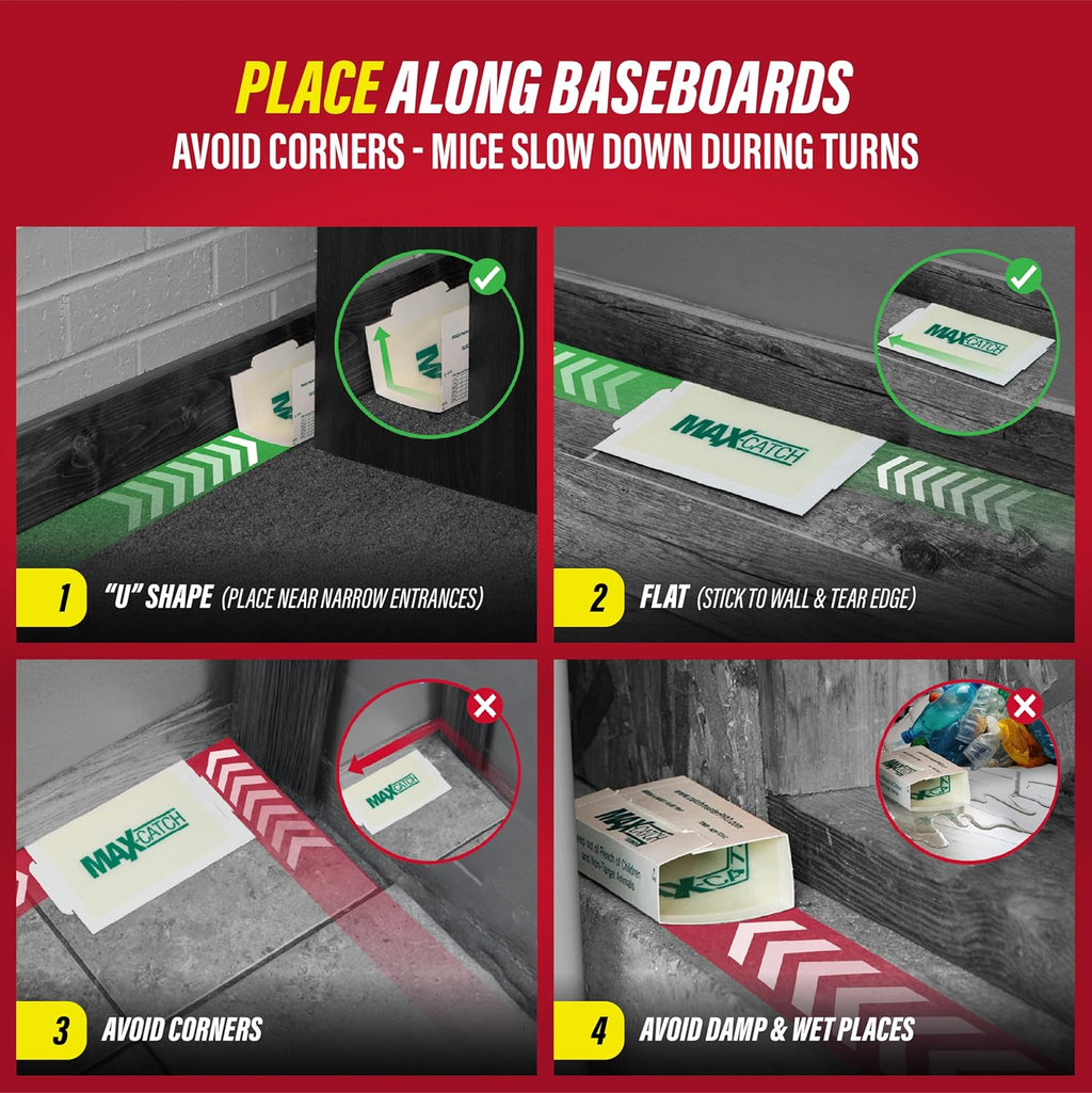 Catchmaster Max-Catch Glue Traps 72pk, Sticky Mouse Traps Indoor for Home